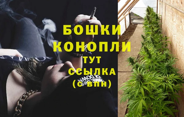 мдпв Дмитровск