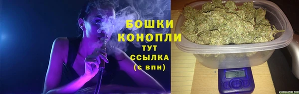 молекула духа Гусиноозёрск