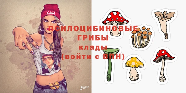 молекула духа Гусиноозёрск